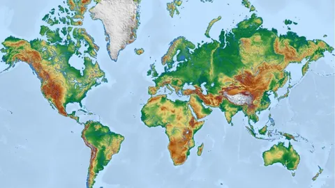 澳超惠靈頓鳳凰與天津津門虎達成一线隊合約及青年培訓項目合作