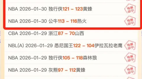 《哪吒2》票房辉煌再创新高，领跑全球动画电影票房榜单